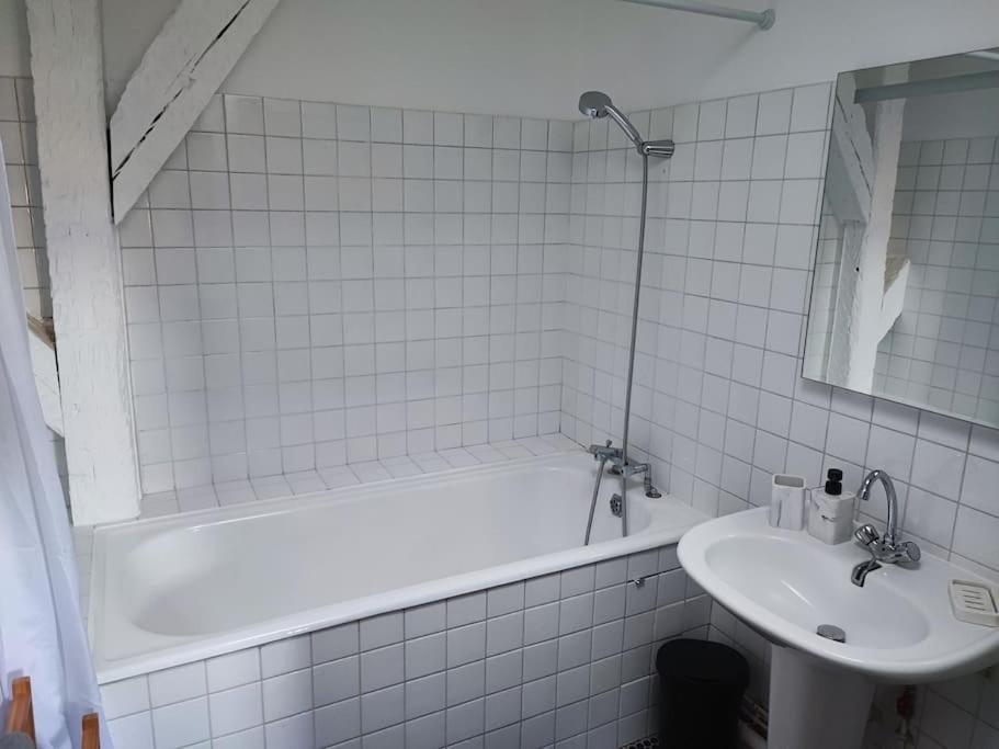 Magnifique Appartement Beaux Arts Tours Luaran gambar