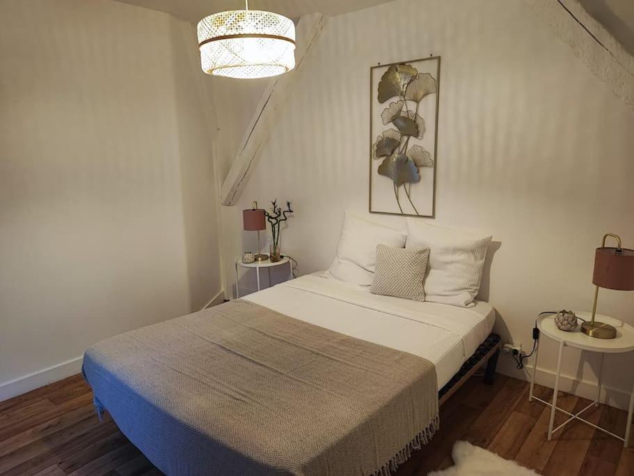 Magnifique Appartement Beaux Arts Tours Luaran gambar