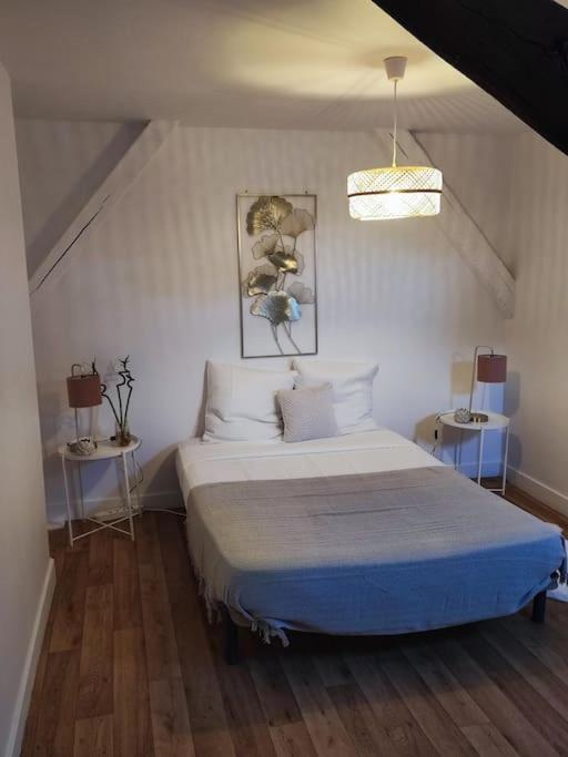 Magnifique Appartement Beaux Arts Tours Luaran gambar