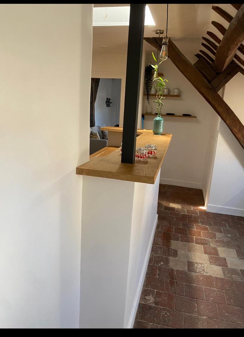 Magnifique Appartement Beaux Arts Tours Luaran gambar