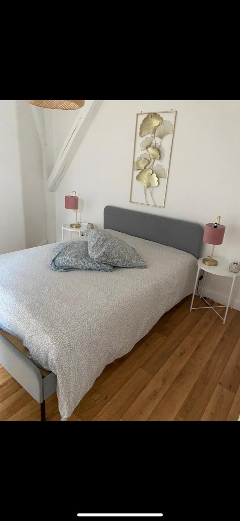 Magnifique Appartement Beaux Arts Tours Luaran gambar